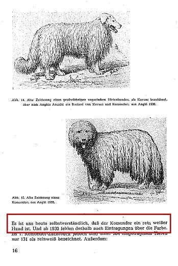 A kritikus szerint nem l&eacute;tező sorok Erna Mohr k&ouml;nyv&eacute;ben
