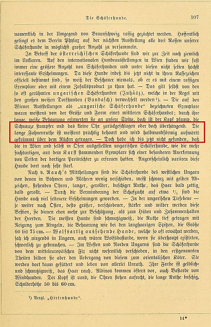 Beckmann_idezett_sorai_2
