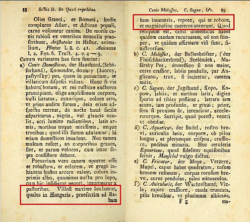 Severini műve &eacute;s az id&eacute;zett sorok